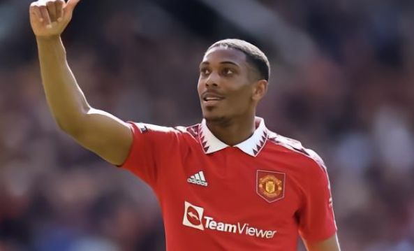 专业分析人 专业分析人