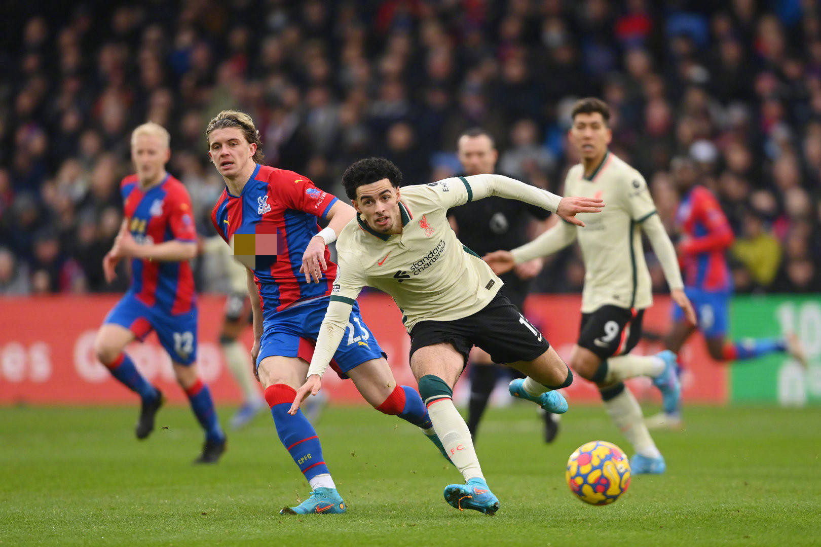 我们可以提 我们可以提